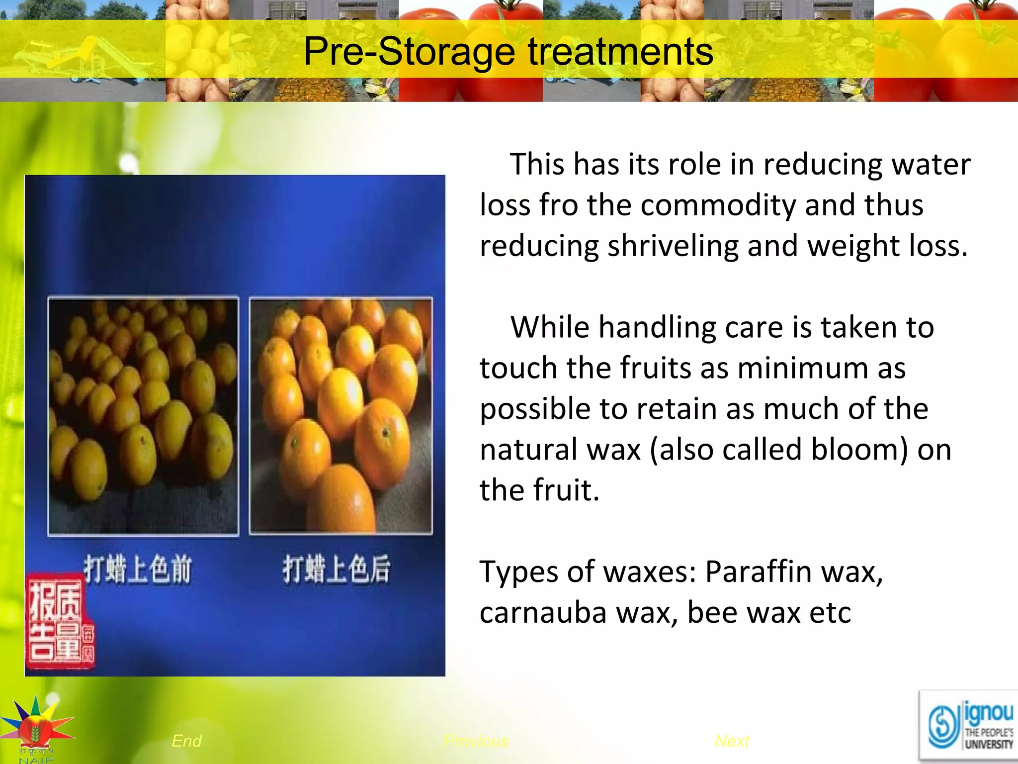 NextEnd Previous
Pre-Storage treatments
This has its role in reducing water
loss fro the commodity and thus
reducing shriveling and weight loss.
While handling care is taken to
touch the fruits as minimum as
possible to retain as much of the
natural wax (also called bloom) on
the fruit.
Types of waxes: Paraffin wax,
carnauba wax, bee wax etc
 
