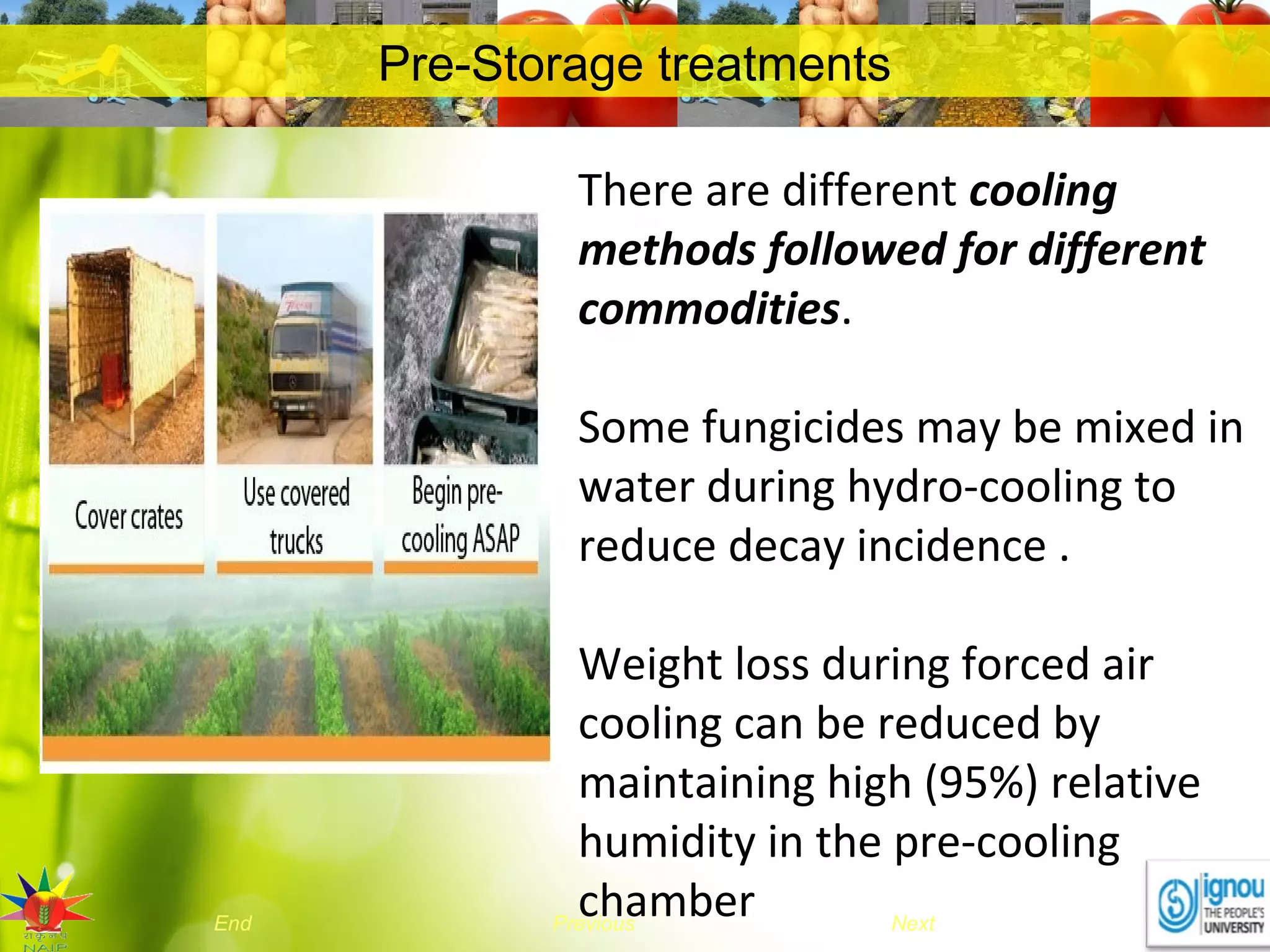 NextEnd Previous
Pre-Storage treatments
There are different cooling
methods followed for different
commodities.
Some fungicides may be mixed in
water during hydro-cooling to
reduce decay incidence .
Weight loss during forced air
cooling can be reduced by
maintaining high (95%) relative
humidity in the pre-cooling
chamber
 