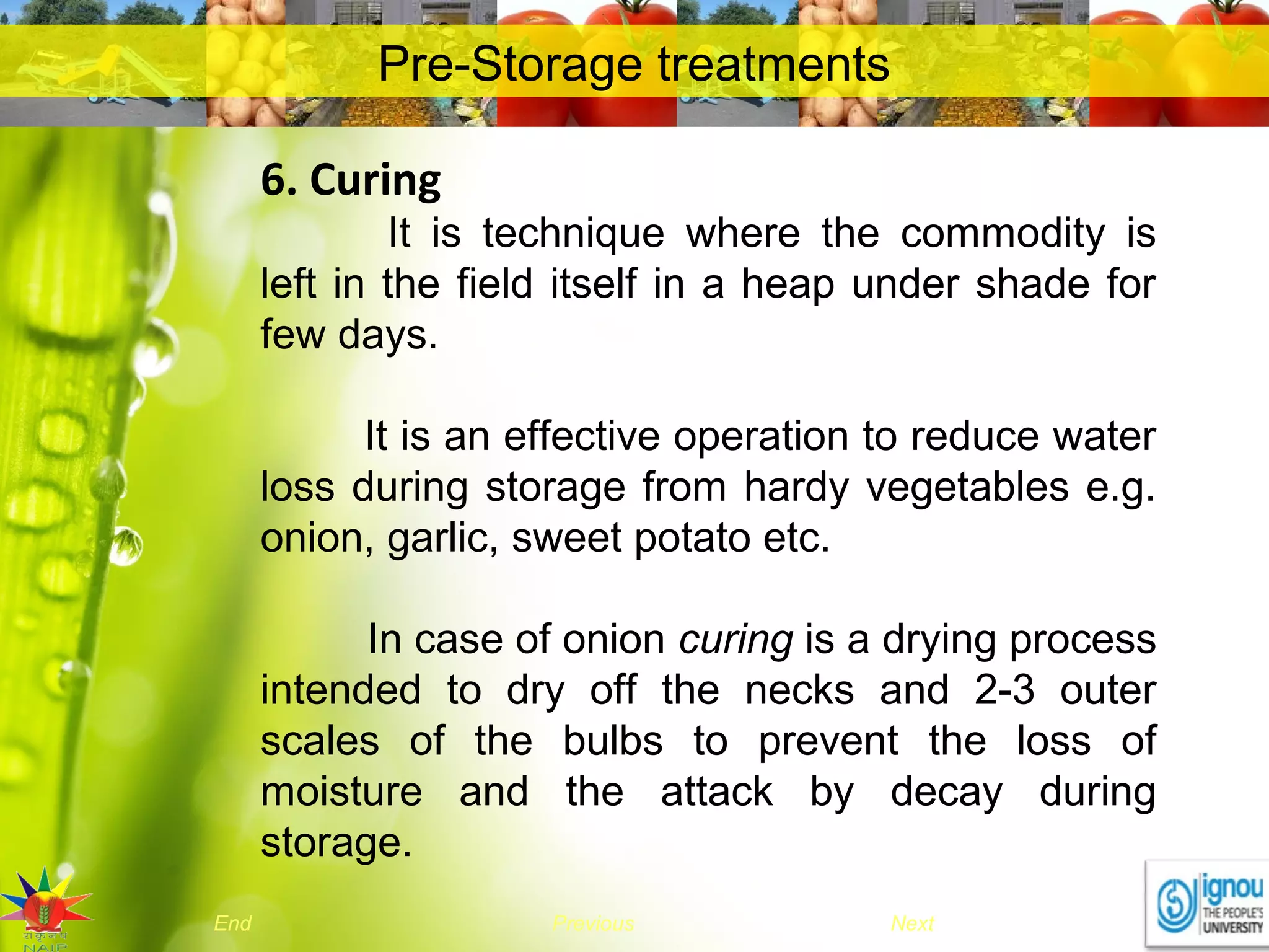 NextEnd Previous
Pre-Storage treatments
6. Curing
It is technique where the commodity is
left in the field itself in a heap under shade for
few days.
It is an effective operation to reduce water
loss during storage from hardy vegetables e.g.
onion, garlic, sweet potato etc.
In case of onion curing is a drying process
intended to dry off the necks and 2-3 outer
scales of the bulbs to prevent the loss of
moisture and the attack by decay during
storage.
 