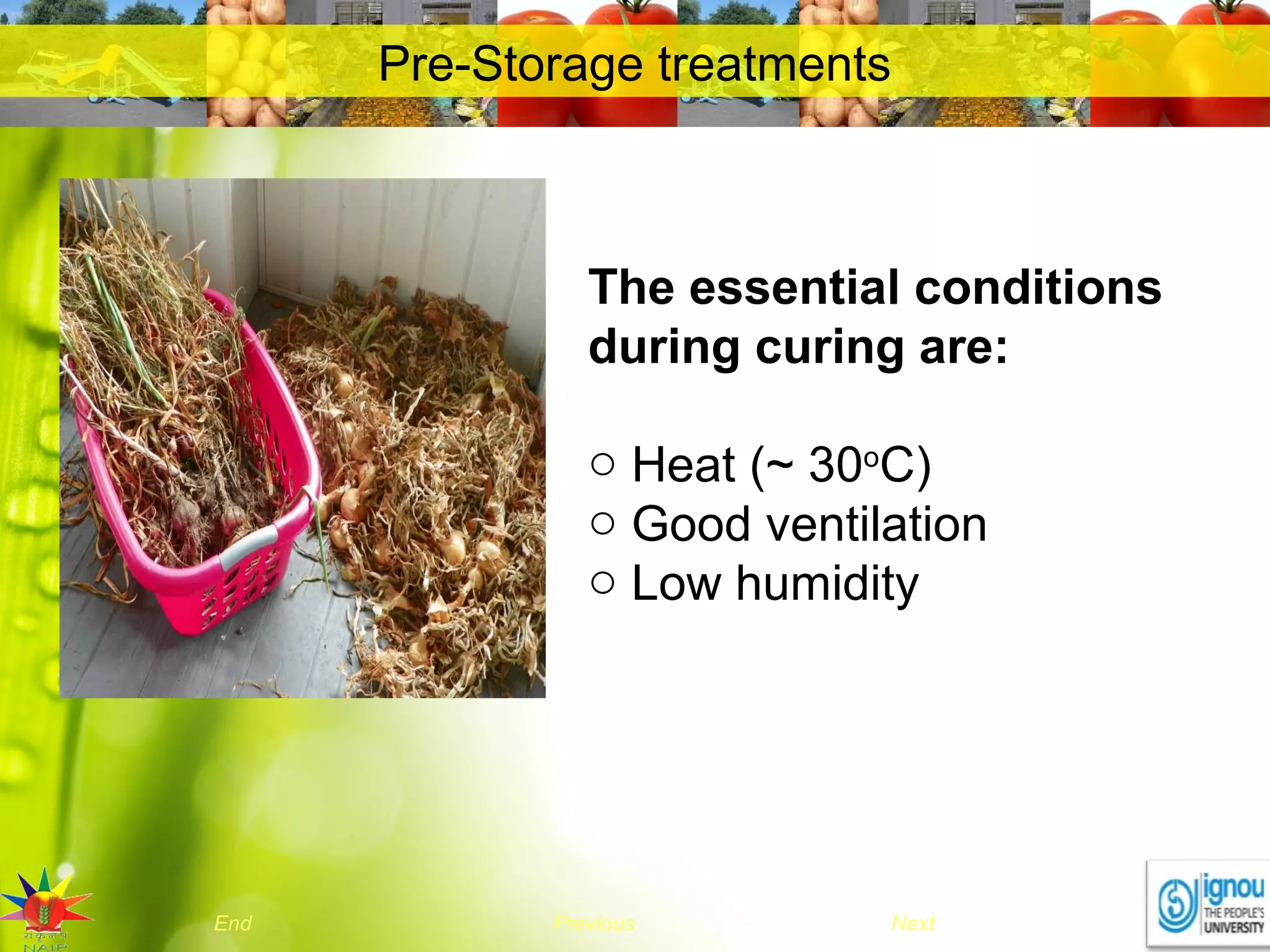 NextEnd Previous
Pre-Storage treatments
The essential conditions
during curing are:
o Heat (~ 30o
C)
o Good ventilation
o Low humidity
 