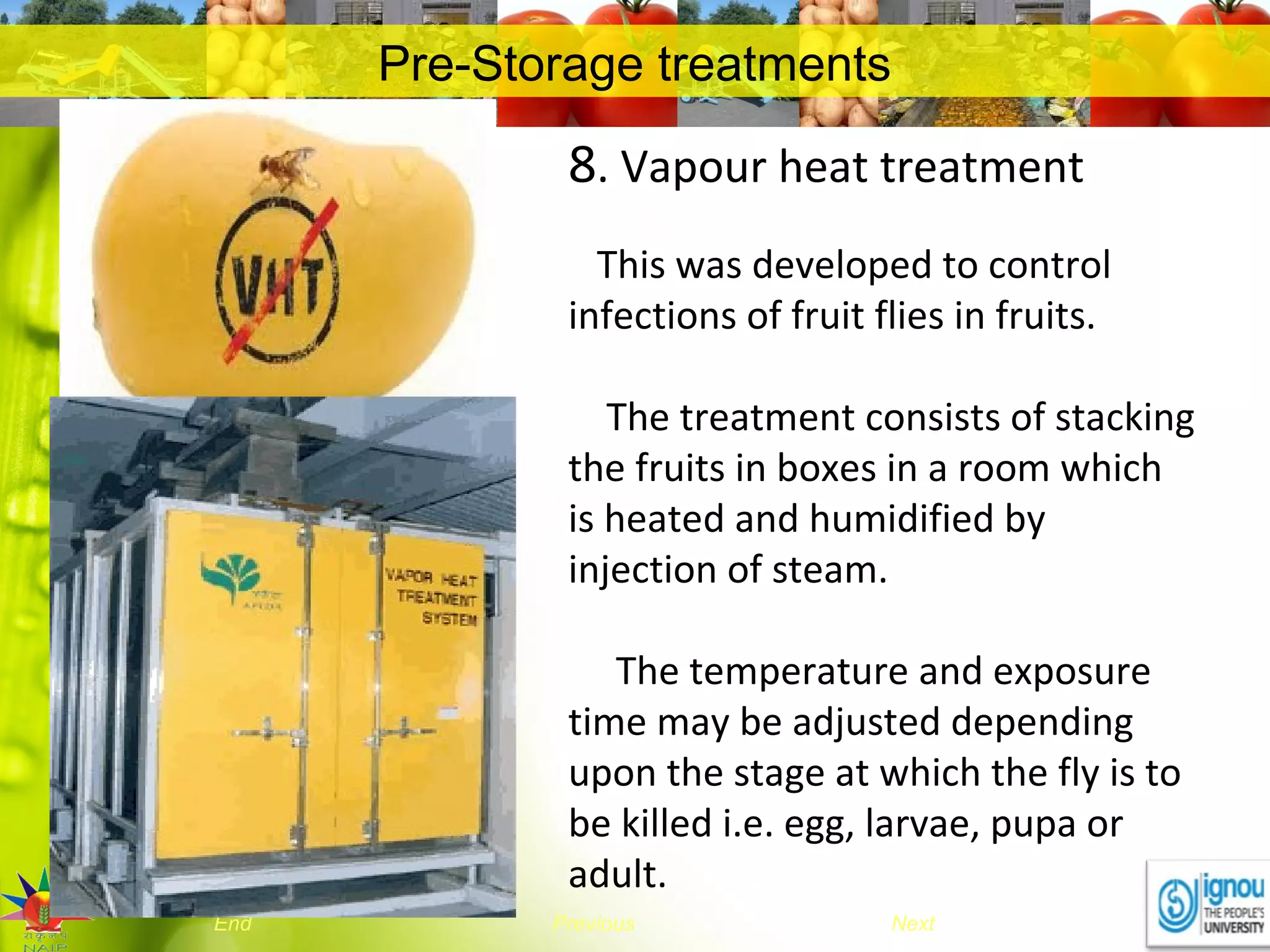 NextEnd Previous
Pre-Storage treatments
8. Vapour heat treatment
This was developed to control
infections of fruit flies in fruits.
The treatment consists of stacking
the fruits in boxes in a room which
is heated and humidified by
injection of steam.
The temperature and exposure
time may be adjusted depending
upon the stage at which the fly is to
be killed i.e. egg, larvae, pupa or
adult.
 