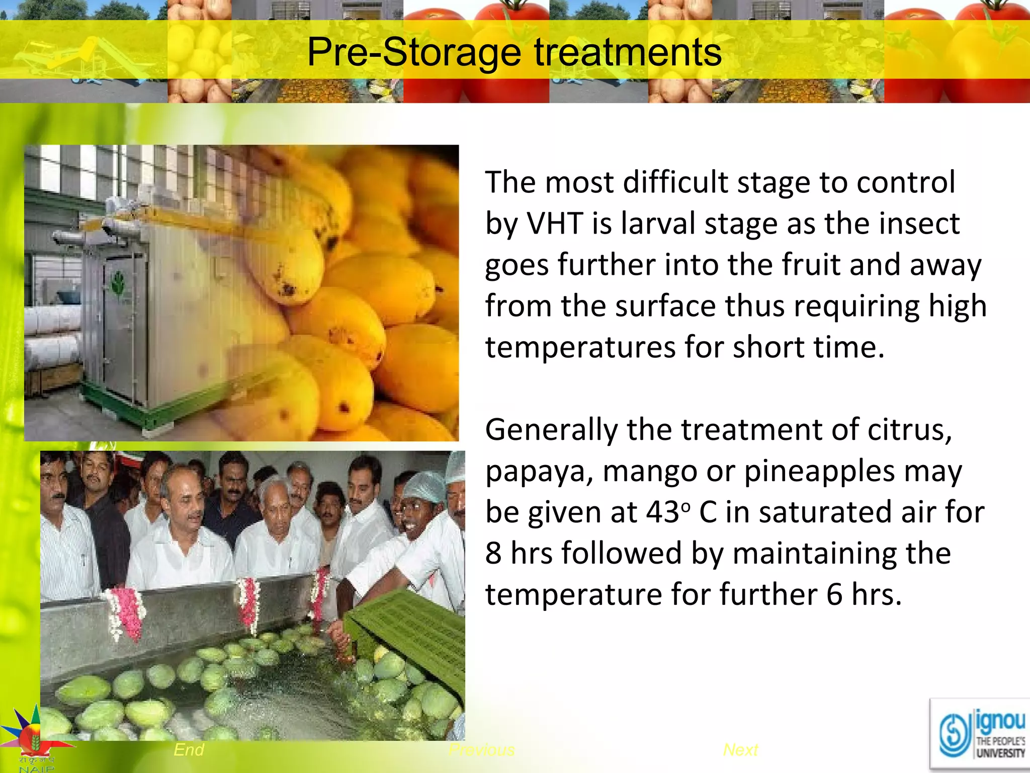 NextEnd Previous
Pre-Storage treatments
The most difficult stage to control
by VHT is larval stage as the insect
goes further into the fruit and away
from the surface thus requiring high
temperatures for short time.
Generally the treatment of citrus,
papaya, mango or pineapples may
be given at 43o
C in saturated air for
8 hrs followed by maintaining the
temperature for further 6 hrs.
 
