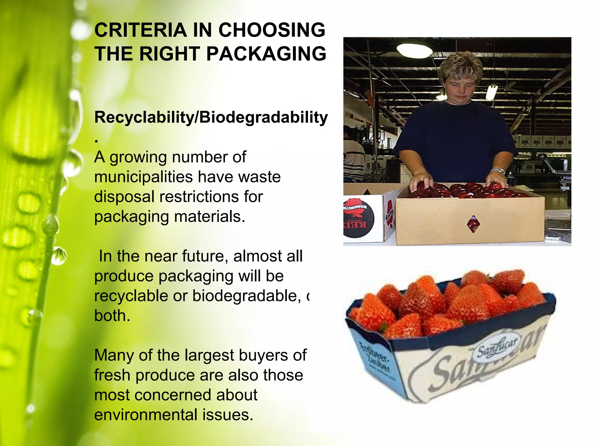 CRITERIA IN CHOOSING
THE RIGHT PACKAGING
Recyclability/Biodegradability
.
A growing number of
municipalities have waste
disposal restrictions for
packaging materials.
In the near future, almost all
produce packaging will be
recyclable or biodegradable, or
both.
Many of the largest buyers of
fresh produce are also those
most concerned about
environmental issues.
 