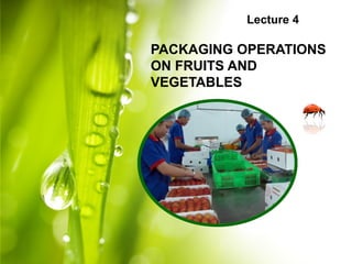 Lecture 4
PACKAGING OPERATIONS
ON FRUITS AND
VEGETABLES
 