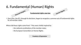 Lecture 4 - Sources of EU Law.pptx notes | PPTX