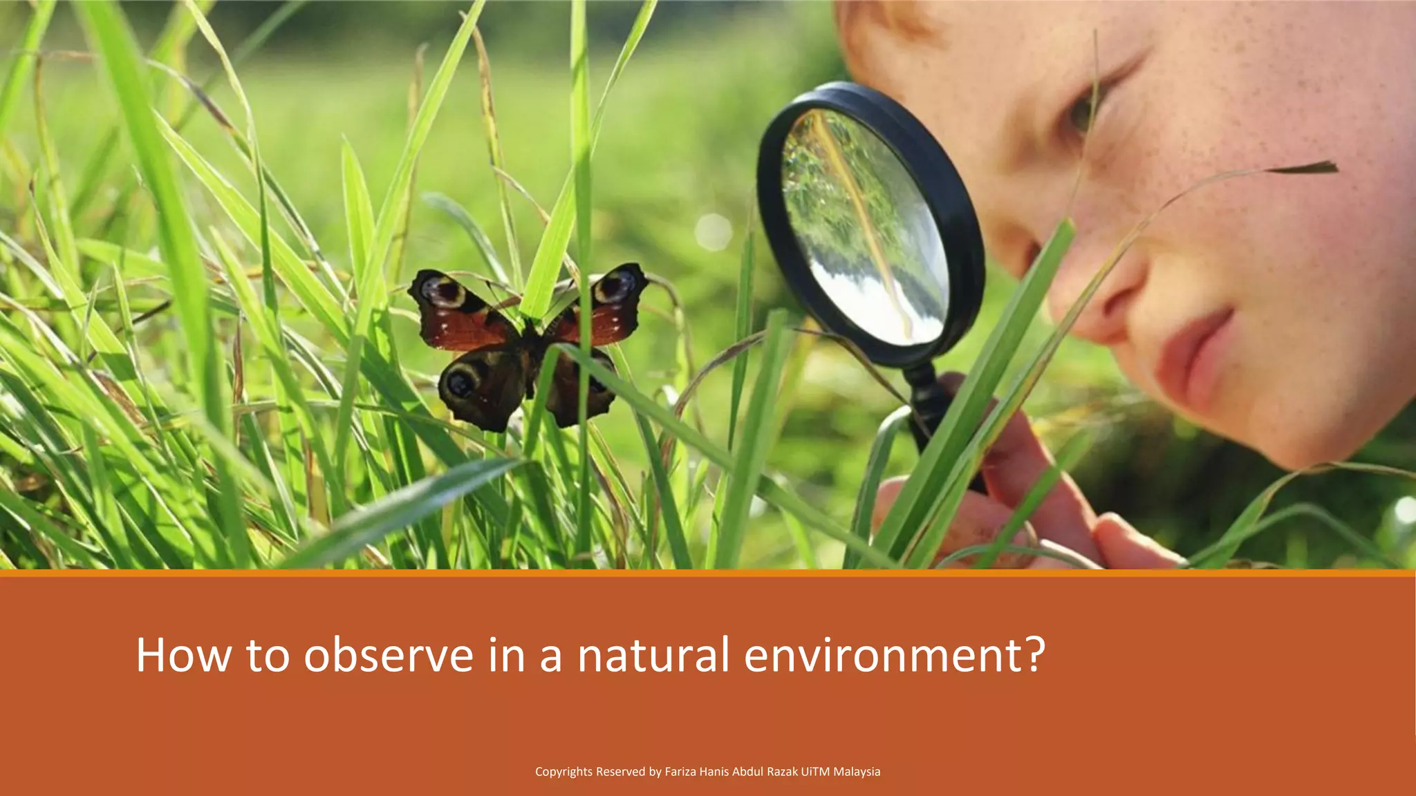 How to observe in a natural environment?
Copyrights Reserved by Fariza Hanis Abdul Razak UiTM Malaysia
 