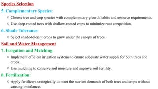 Lecture 4-Tree and Crop interaction in a agroforestry system.pptx