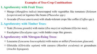 Lecture 4-Tree and Crop interaction in a agroforestry system.pptx