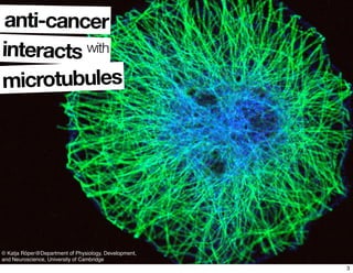 © Katja Röper@Department of Physiology, Development,
and Neuroscience, University of Cambridge
anti-cancer
interacts with
microtubules
3
 