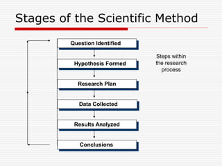 Stages of the Scientific Method
Question Identified
Hypothesis Formed
Research Plan
Data Collected
Results Analyzed
Conclusions
Steps within
the research
process
 