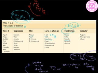 ili
t
x
27TH
I
Clea.fly
hemii fhhatiilE.n.srawm.am
enthit alternate
 