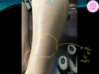 baiEreksity
otvna E.in
 