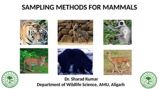 Lecture 47 Sampling Methods for Mammals.pptx
