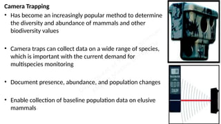 Lecture 47 Sampling Methods for Mammals.pptx