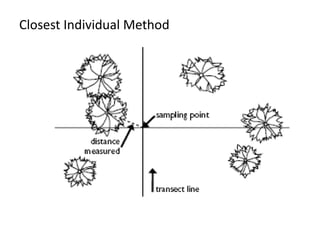 Nearest Individual Method Lecture 48 Plot and Plotless Sampling techniques for habitat ...