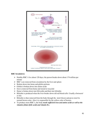 pathology - Hematology | PDF