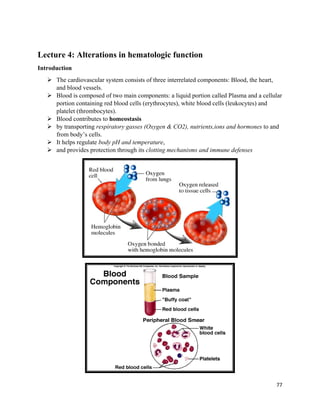 77 
 
Lecture 4: Alterations in hematologic function
Introduction
 The cardiovascular system consists of three interrelated components: Blood, the heart,
and blood vessels.
 Blood is composed of two main components: a liquid portion called Plasma and a cellular
portion containing red blood cells (erythrocytes), white blood cells (leukocytes) and
platelet (thrombocytes).
 Blood contributes to homeostasis
 by transporting respiratory gasses (Oxygen & CO2), nutrients,ions and hormones to and
from body’s cells.
 It helps regulate body pH and temperature,
 and provides protection through its clotting mechanisms and immune defenses
 
