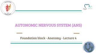 AUTONOMIC NERVOUS SYSTEM (ANS)
Foundation block - Anatomy - Lecture 4
 