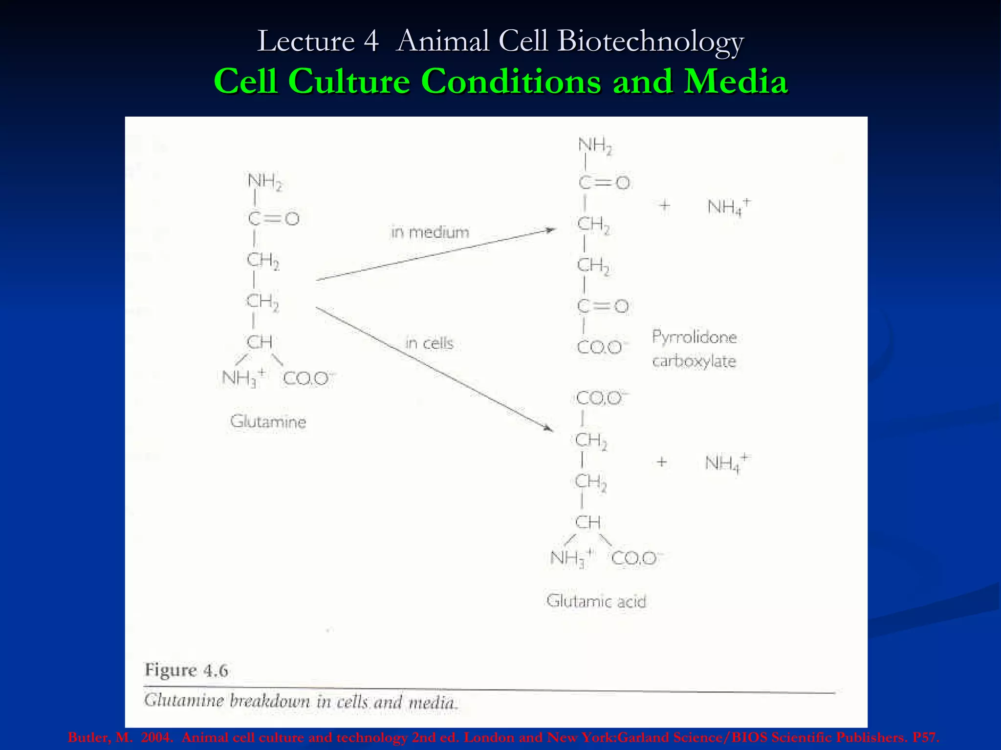 Lecture 4  Animal Cell Biotechnology Cell Culture Conditions and Media Butler, M.  2004.  Animal cell culture and technology 2nd ed. London and New York:Garland Science/BIOS Scientific Publishers. P57. 