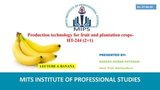 PRESENTED BY:
RAKESH KUMAR PATTNAIK
Asst. Prof. Horticulture
MITS INSTITUTE OF PROFESSIONAL STUDIES
Dt- 27-04-20
LECTURE 4. BANANA
Production technology for fruit and plantation crops-
HT-244 (2+1)
 
