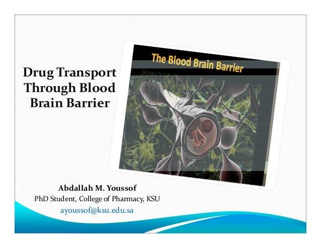 Drug Transport Through The b Drug Transport Through The b