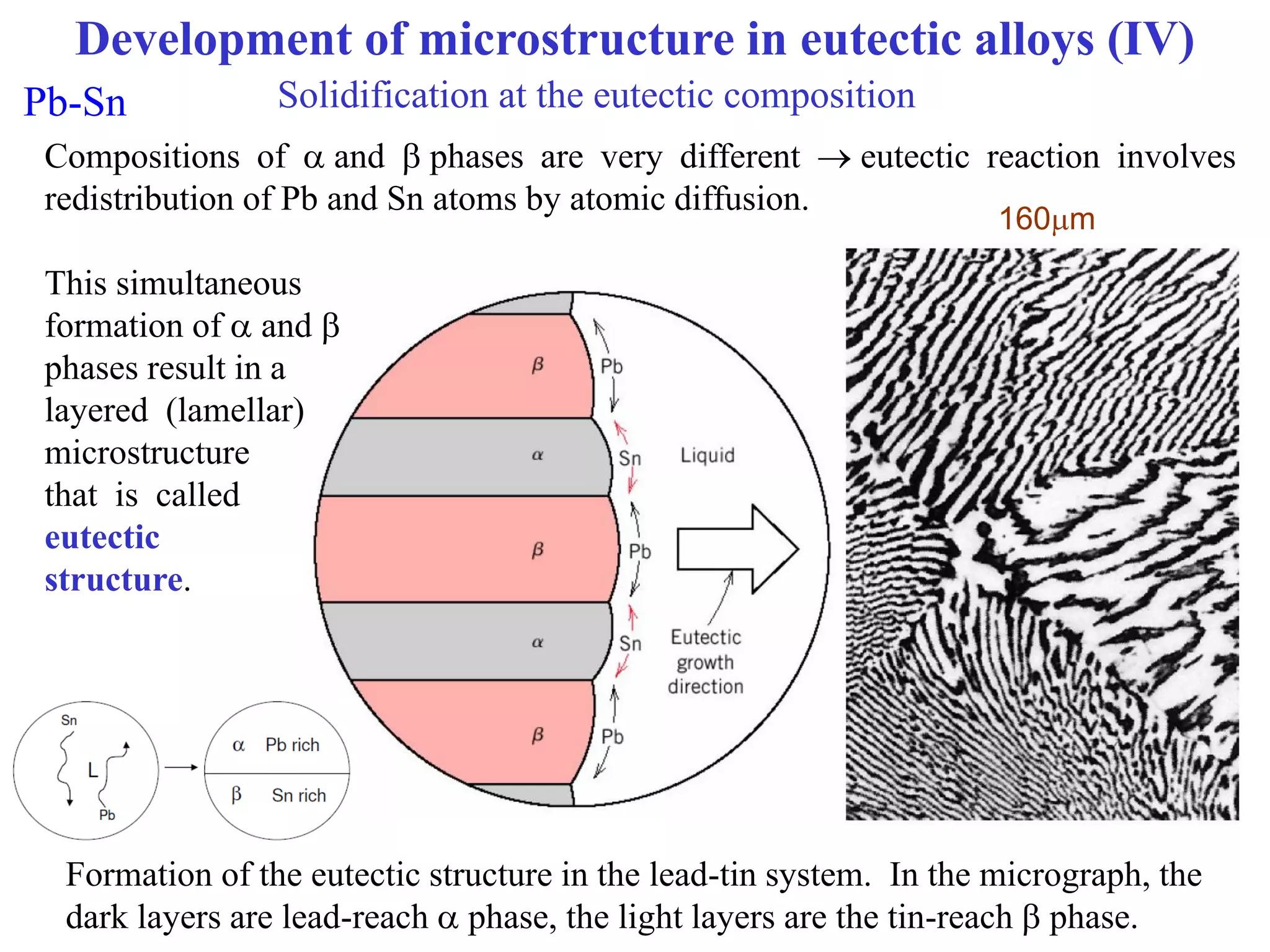 Lecture: Binary phase diagrams and Gibbs free energy curves | PDF