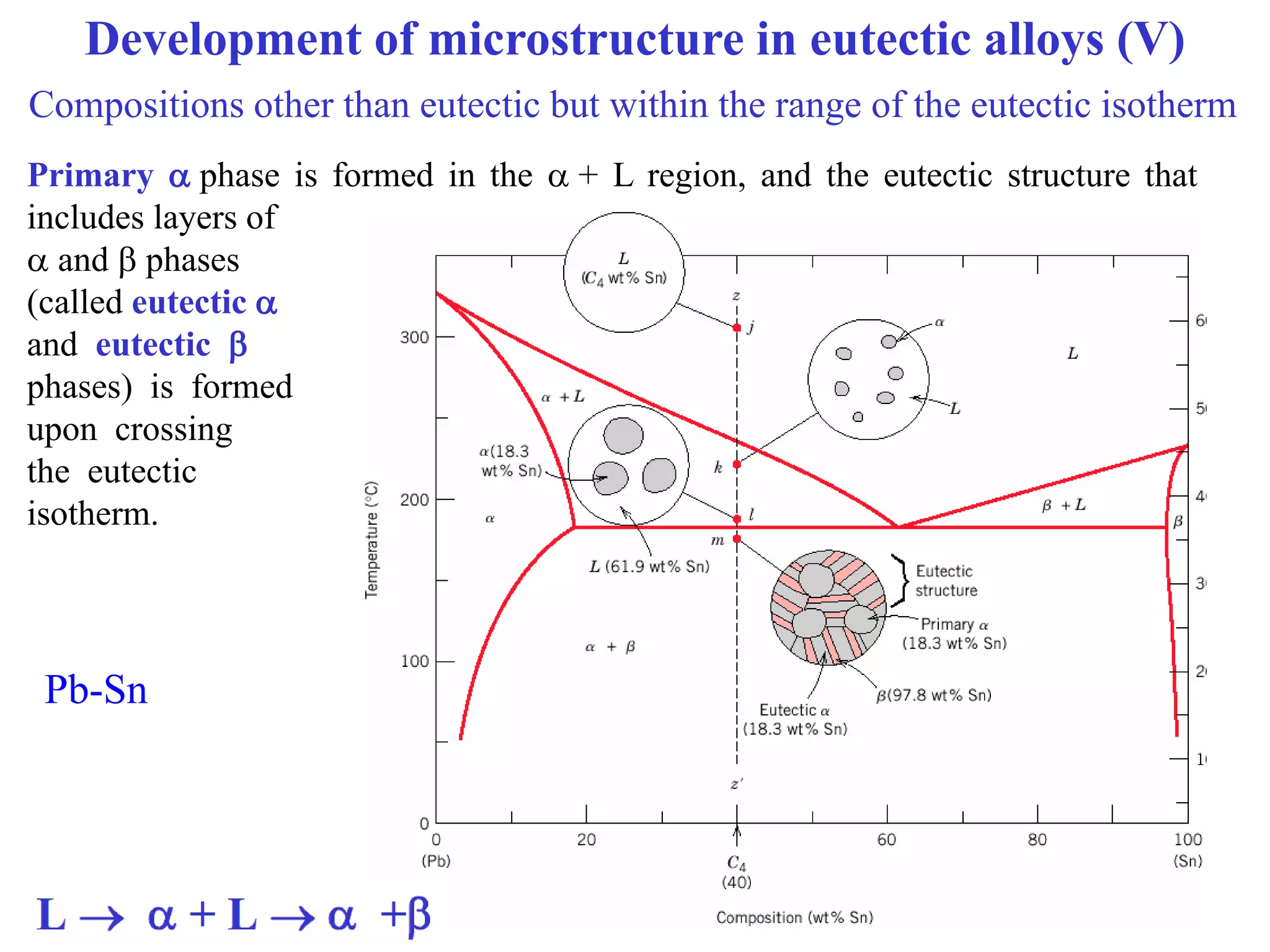 Lecture: Binary phase diagrams and Gibbs free energy curves | PDF