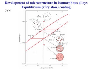 Lecture: Binary phase diagrams and Gibbs free energy curves | PDF