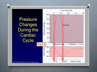 Lecture 4 Circulatory Response to Exercise.pptx