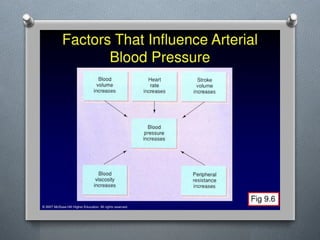 Lecture 4 Circulatory Response to Exercise.pptx