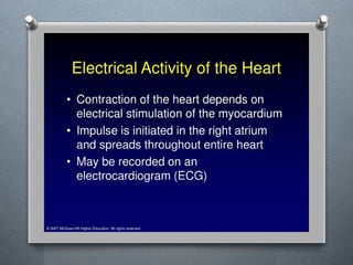Lecture 4 Circulatory Response to Exercise.pptx