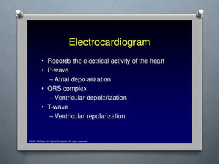 Lecture 4 Circulatory Response to Exercise.pptx