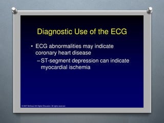 Lecture 4 Circulatory Response to Exercise.pptx