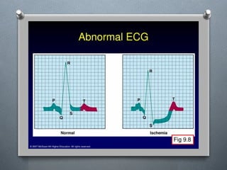 Lecture 4 Circulatory Response to Exercise.pptx