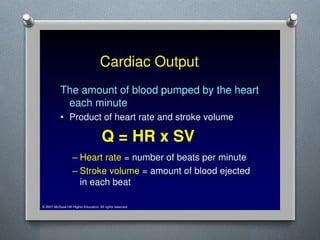 Lecture 4 Circulatory Response to Exercise.pptx