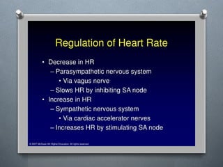 Lecture 4 Circulatory Response to Exercise.pptx