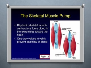 Lecture 4 Circulatory Response to Exercise.pptx