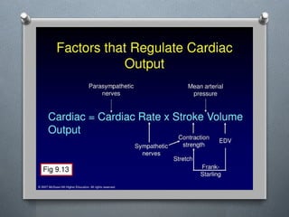 Lecture 4 Circulatory Response to Exercise.pptx