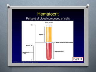 Lecture 4 Circulatory Response to Exercise.pptx