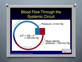 Lecture 4 Circulatory Response to Exercise.pptx