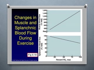 Lecture 4 Circulatory Response to Exercise.pptx