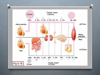 Lecture 4 Circulatory Response to Exercise.pptx