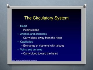 Lecture 4 Circulatory Response to Exercise.pptx