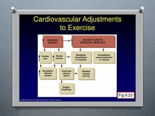 Lecture 4 Circulatory Response to Exercise.pptx