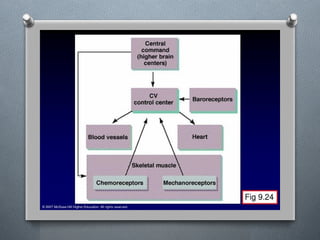 Lecture 4 Circulatory Response to Exercise.pptx