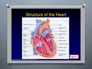 Lecture 4 Circulatory Response to Exercise.pptx