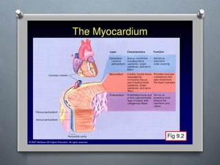 Lecture 4 Circulatory Response to Exercise.pptx