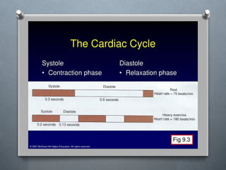 Lecture 4 Circulatory Response to Exercise.pptx