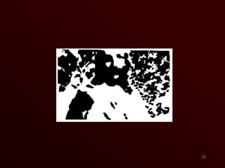 Bill ReidThe raven and the First Men.1983    Laminated yellow cedar, Height 6’ 2”18