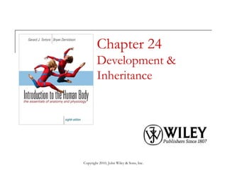 Chapter 24
Development &
Inheritance

Copyright 2010, John Wiley & Sons, Inc.

 